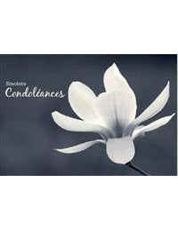 DK Kultura: Sincères condoléances 4537-001