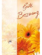 DK Genesung Basic Classic hoch