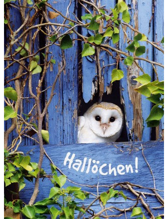 Postkarte Lichtblicke hoch