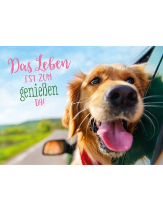 Postkarte Lichtblicke quer