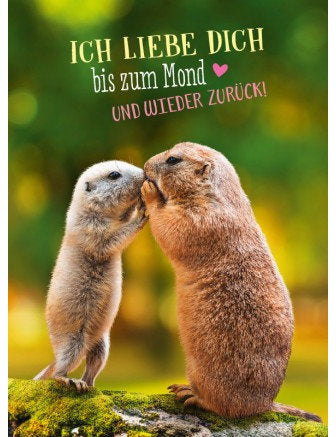 Postkarte Lichtblicke hoch