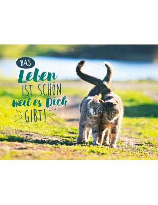 Postkarte Lichtblicke quer
