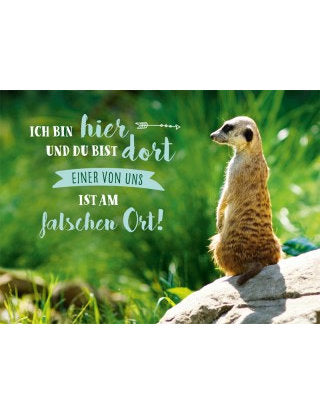 Postkarte Lichtblicke quer