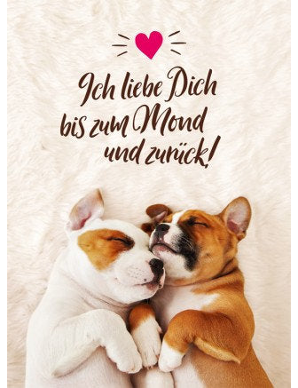 Postkarte Lichtblicke hoch