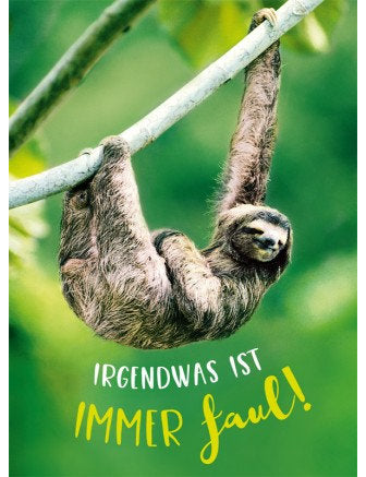 Postkarte Lichtblicke hoch