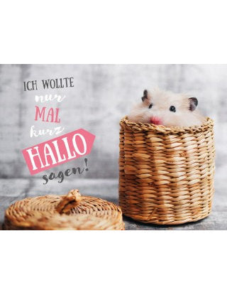 Postkarte Lichtblicke quer