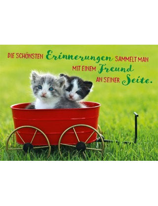 Postkarte Lichtblicke quer