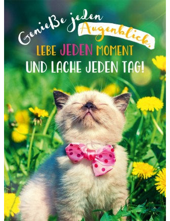 Postkarte Lichtblicke hoch