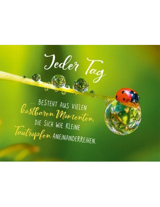Postkarte Lichtblicke quer