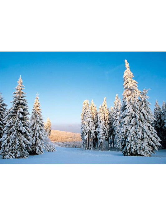 DK Emotion Weihnachten Emotion quer