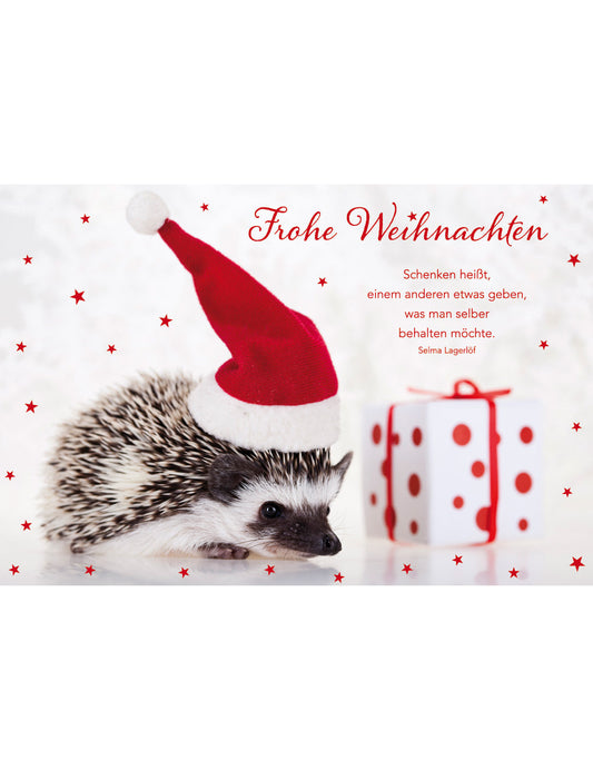 DK Emotion Weihnachten Emotion quer