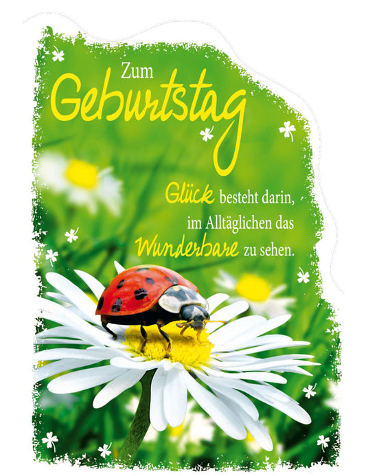 DK Geburtstag