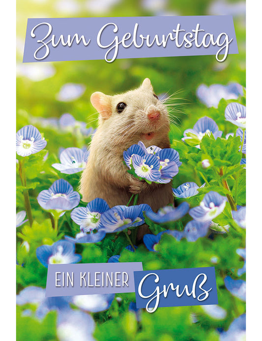 DK Geburtstag Premium Line