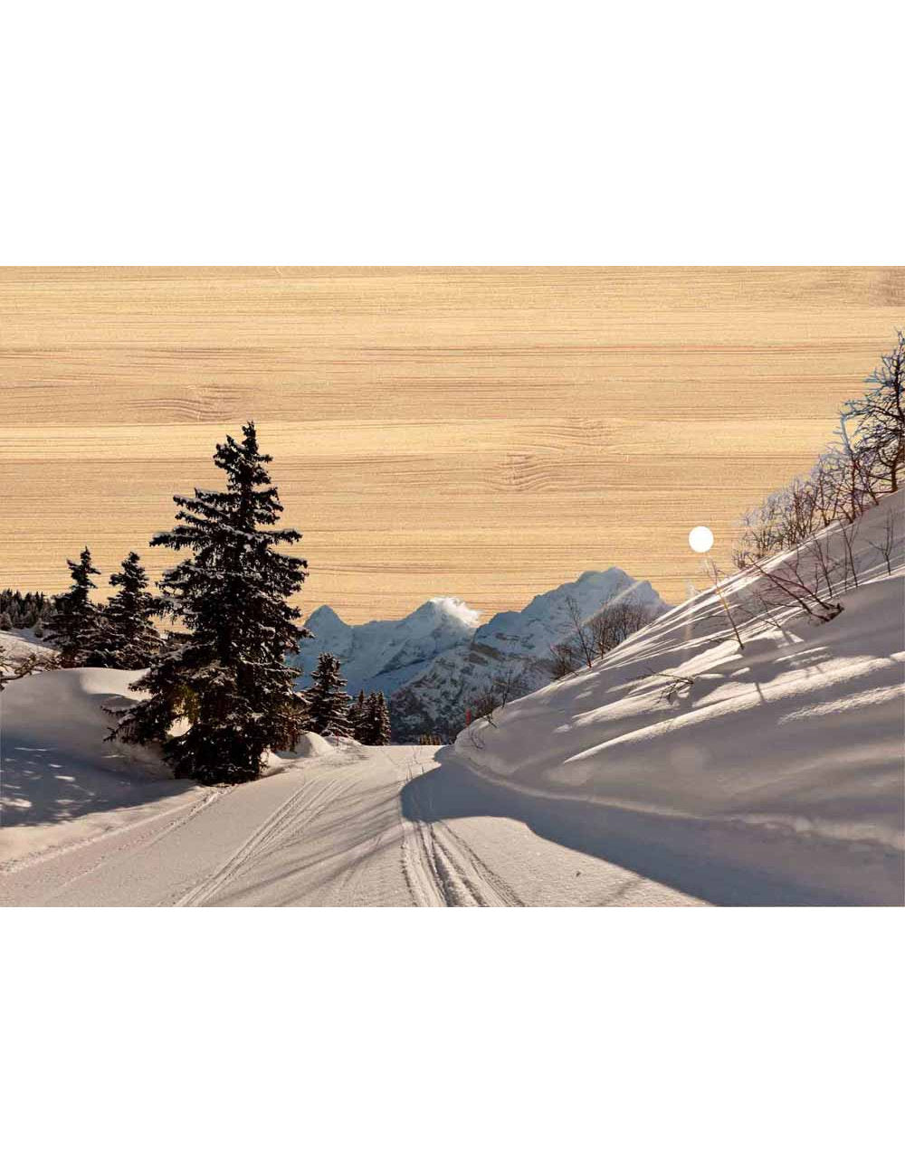 Postkarte. Bambus Swiss Colored