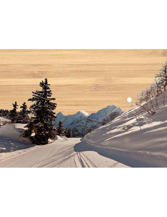 Postkarte. Bambus Swiss Colored