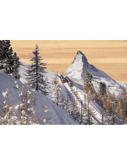 Postkarte. Bambus Swiss Colored