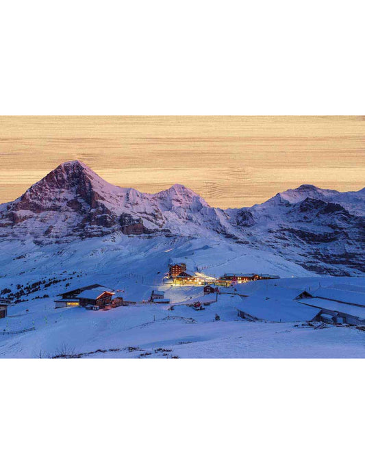 Postkarte. Bambus Swiss Colored