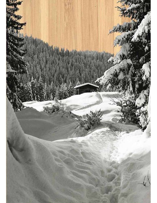 Postkarte. Bambus Swiss Colored