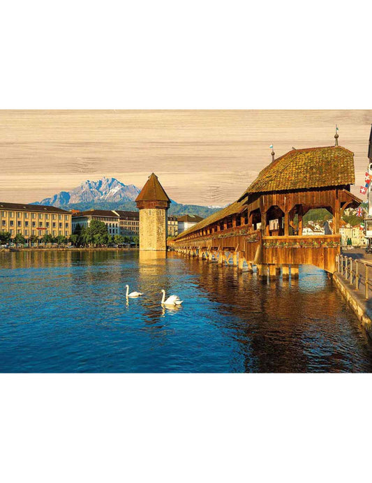 Postkarte. Bambus Swiss Colored
