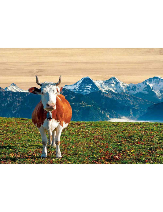 Postkarte. Bambus Swiss Colored. Kuh