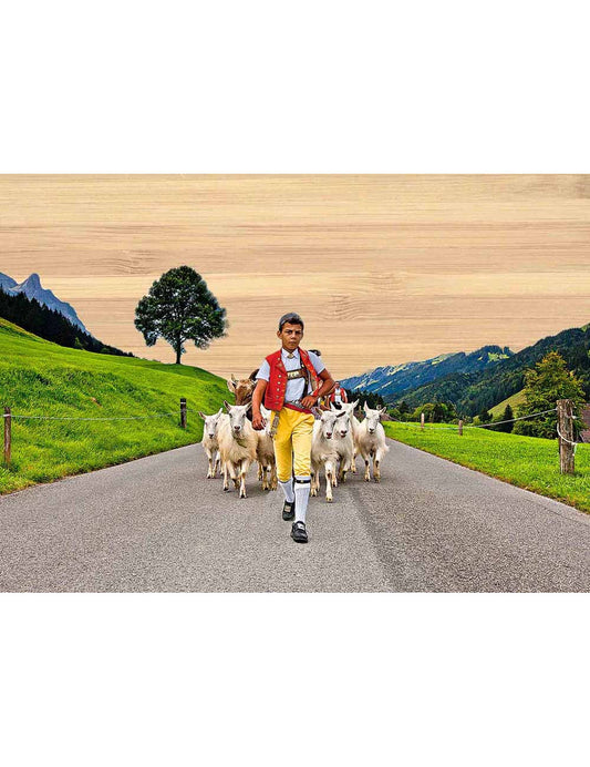 Postkarte. Bambus Swiss Colored