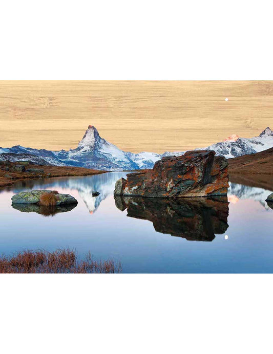 Postkarte. Bambus Swiss Colored