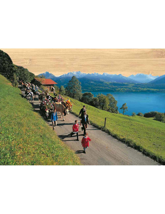Postkarte. Bambus Swiss Colored