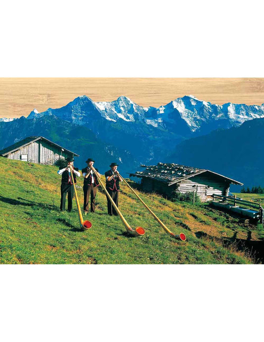 Postkarte. Bambus Swiss Colored