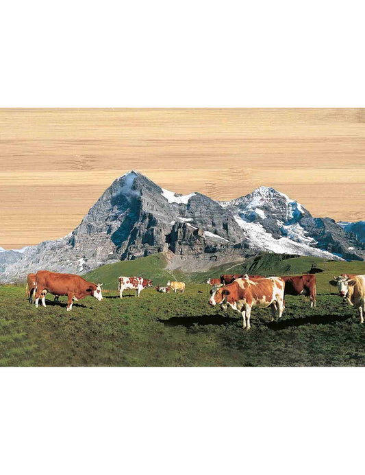 Postkarte. Bambus Swiss Colored