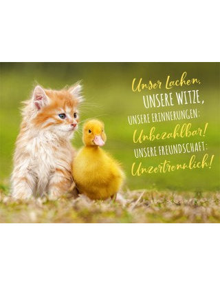 Postkarte Lichtblicke quer