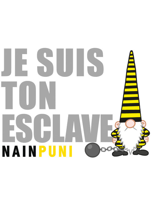 PK Nainconnu Je suis ton esclave nainpuni