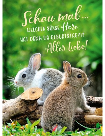Postkarte Lichtblicke hoch