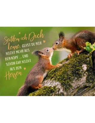 Postkarte Lichtblicke quer
