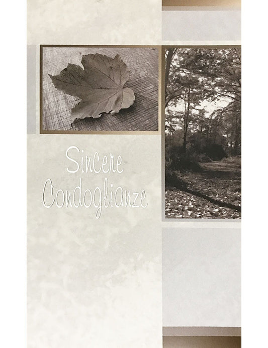 Biglietto Sincere Condoglianze 2-2885