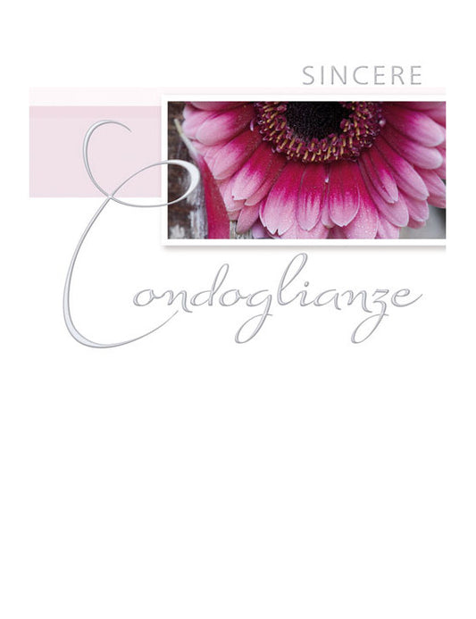 Biglietto Sincere Condoglianze 2-3341
