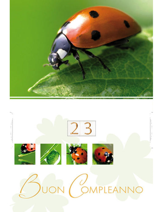 Biglietto Compleanno con numeri girevoli 11-265