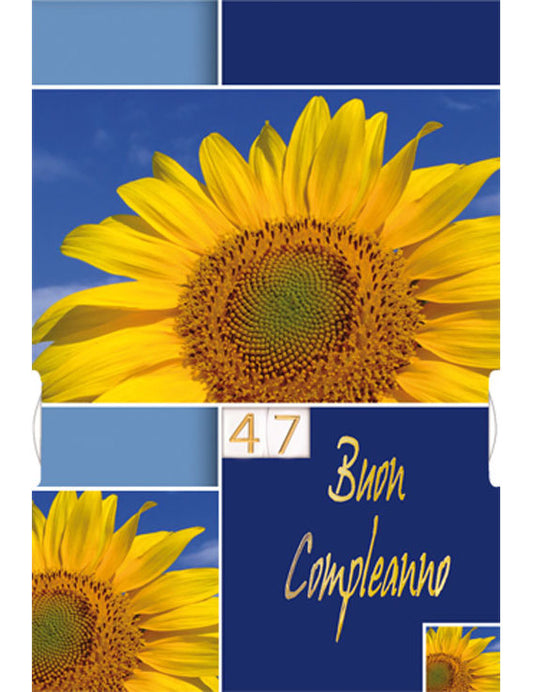 Biglietto Compleanno con numeri girevoli 11-270
