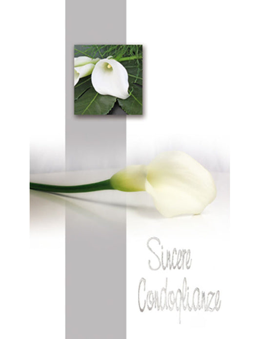 Biglietto Sincere Condoglianze 2-3182