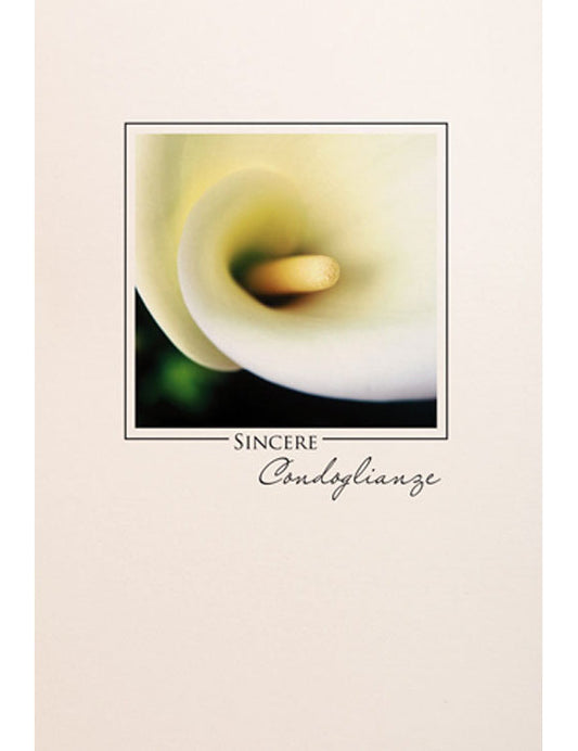 Biglietto Sincere Condoglianze 2-3237