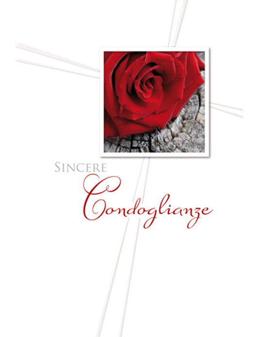 Biglietto Sincere Condoglianze 2-3333