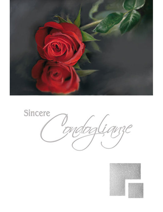 Biglietto Sincere Condoglianze 2-3364