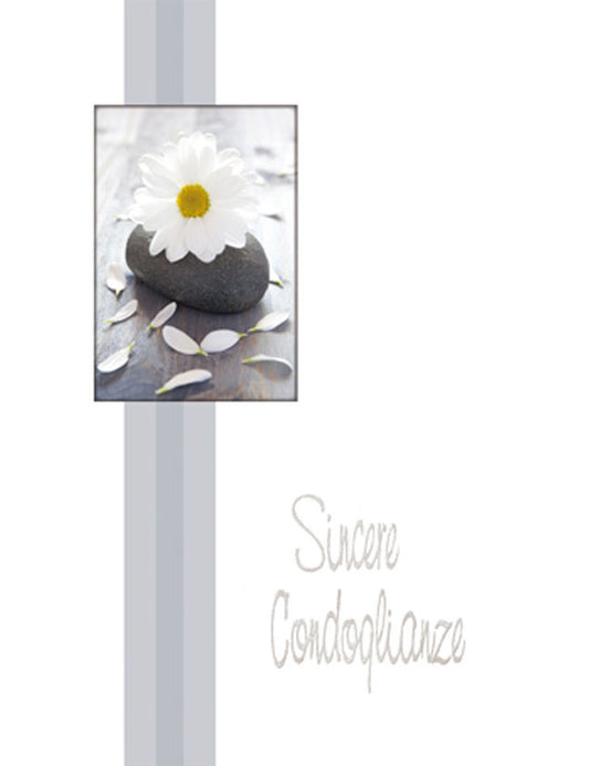 Biglietto Sincere Condoglianze 2-3447