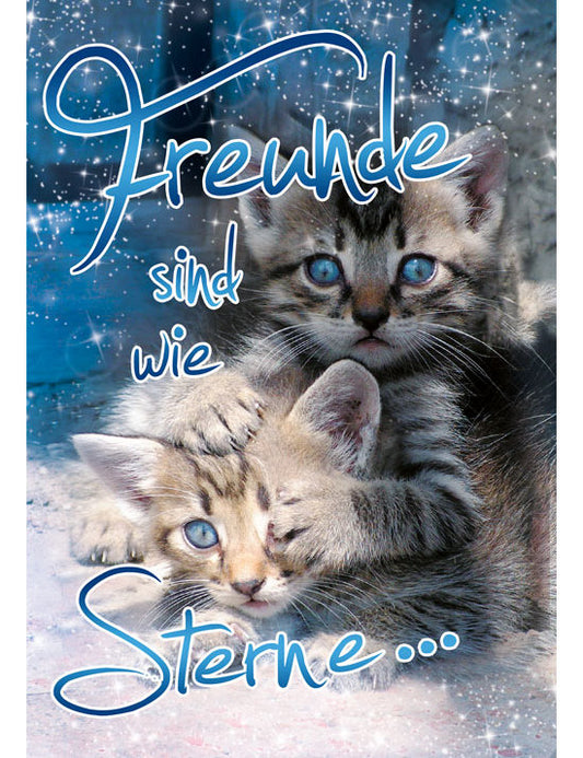 97604; Soundkarte Freunde sind wie Sterne...