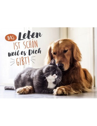 Postkarte Lichtblicke quer