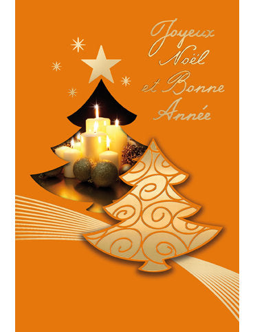 Carte double Noël 98-3836