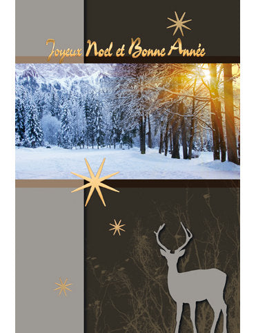 Carte double Noël 98-3844