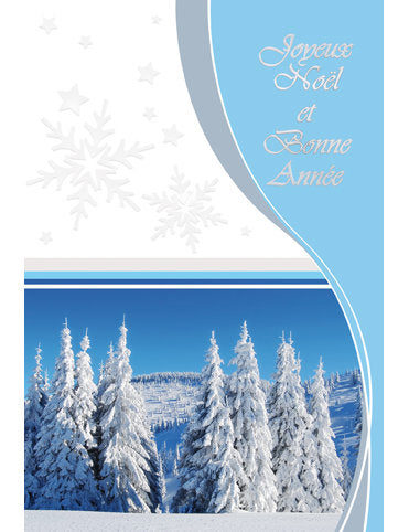 Carte double Noël 98-4328