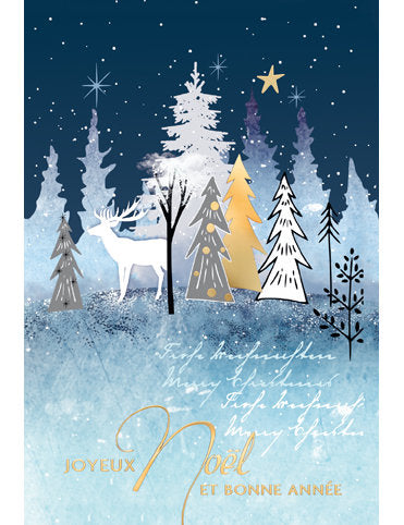 Carte double Noël 98-4667