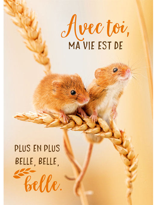 Postkarte Lichtblicke Fr hoch