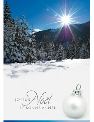 Cartes double multi-pack. Noël 88-0801 5 Ex.